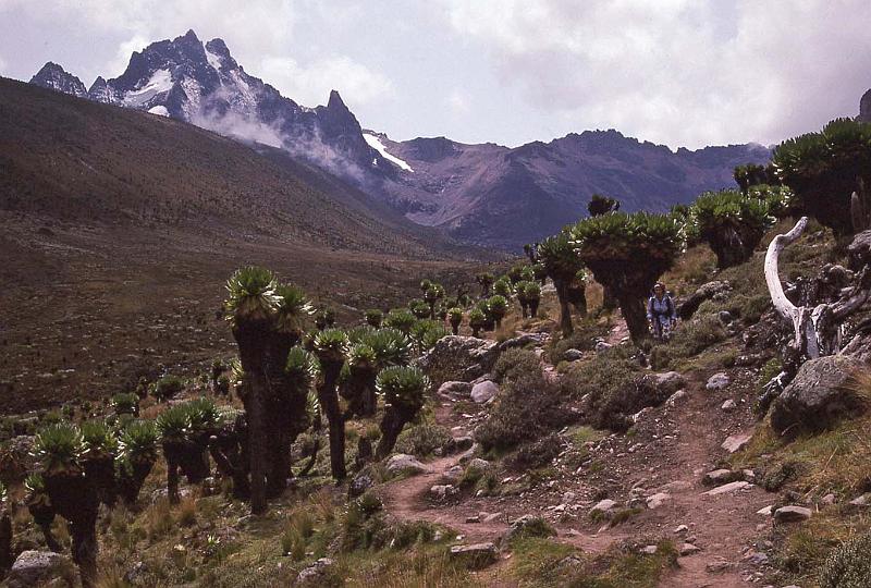 WT 1400 221-34 Kenya.jpg